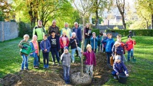 Kinder pflanzten mit dem Stadtgärtner einen Baum im Rahmen einer Baumpatenschaft. (Bild: Lienz Bernd Lenzer)