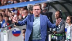 Ralf Rangnick ist immer noch entsetzt über den Zustand des Rasens im Stadion Stozice. (Bild: GEPA/GEPA pictures)