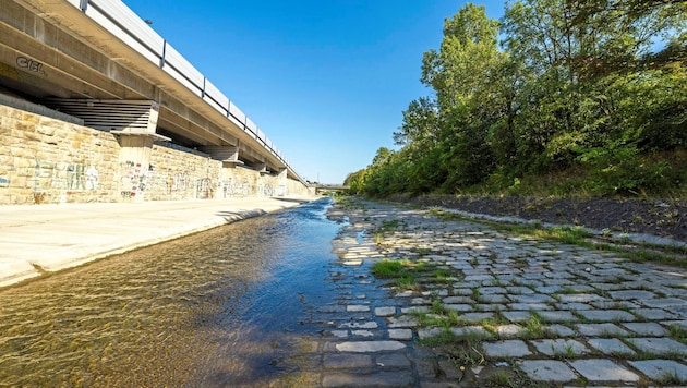 (Bild: Stadt Wien/Wiener Gewässer)