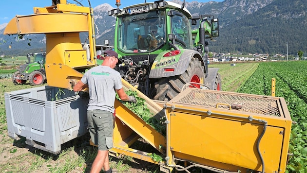 Despite state-of-the-art agricultural technology, enormous amounts of fuel are consumed, which is paid for more abroad than here in Germany. (Bild: Birbaumer Christof)