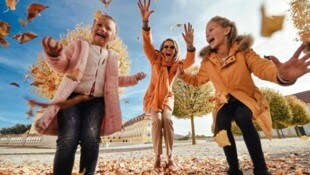 Vom Kürbisschnitzen bis hin zum Gruselspaß: Auf Schloss Hof wartet ein kunterbuntes Herbstprogramm auf die Besucher. (Bild: Schloss Schönbrunn Kultur- und Betriebs GmbH, Michal Cilc)