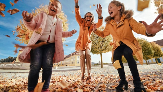 Vom Kürbisschnitzen bis hin zum Gruselspaß: Auf Schloss Hof wartet ein kunterbuntes Herbstprogramm auf die Besucher. (Bild: Schloss Schönbrunn Kultur- und Betriebs GmbH, Michal Cilc)