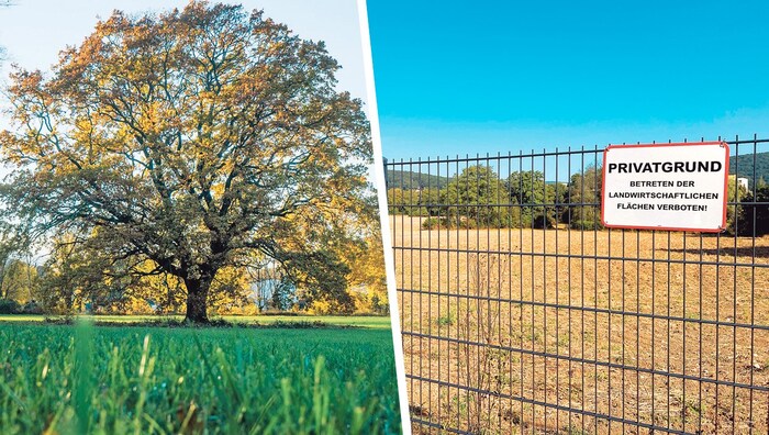 The battle for a valuable green oasis has now flared up in Breitenfurt - the Greens want to ...