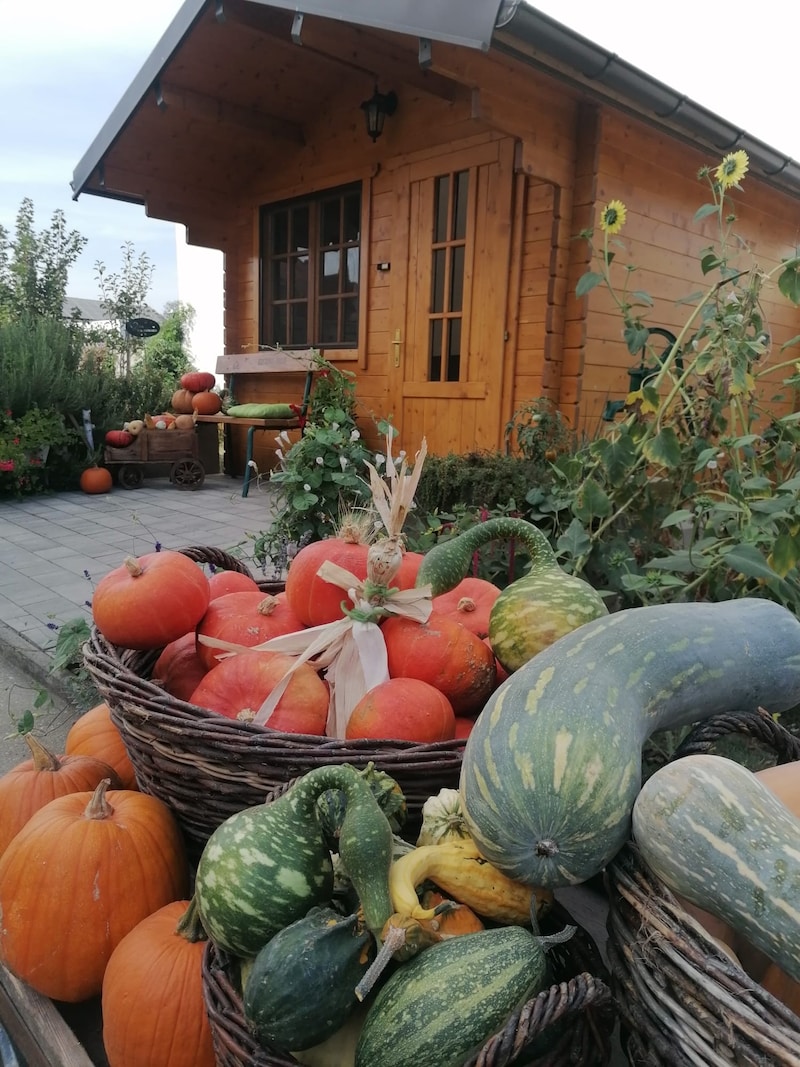 The small farm store is open every Friday from 2 to 4 pm. (Bild: Zezelitsch)