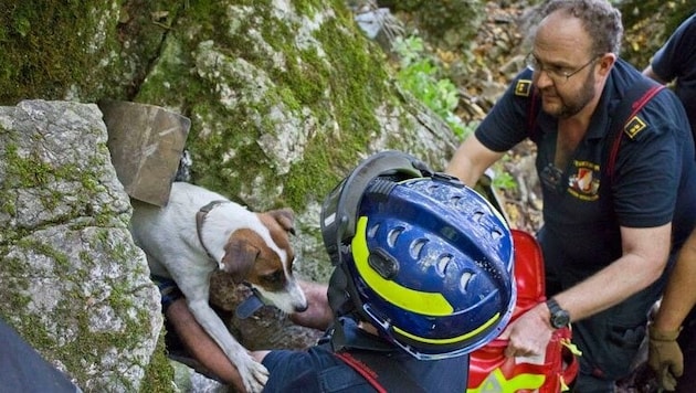 „Spotty“ war beim Wandern seinen Besitzern entlaufen. Florianis konnten ihn aus der Höhle retten. (Bild: Stefan Schneider BFKDO BADEN www.bfkdo-baden.com schneids@gmx.at)