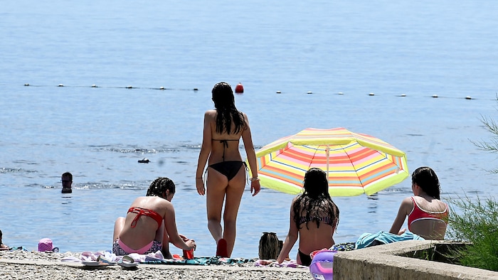 Bathers are advised to avoid grassy areas. Because mites could be lurking there.