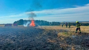 Der Flurbrand hat sich aufgrund des trockenen Bodens rasch ausgebreitet. (Bild: Bezirksfeuerwehrkommando Oberwart)