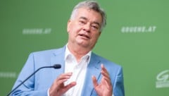 Vizekanzler und Sportminister Werner Kogler (Grüne) (Bild: APA/GEORG HOCHMUTH)