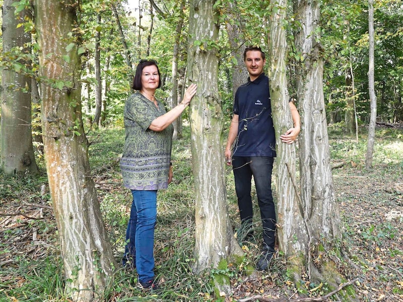 "Regardless of which religious community you belong to, there is room for everyone here," say Arabella Koch and her son Bernd, who also want to build a place of worship at the cemetery for the laying in state and farewell ceremony. (Bild: Reinhard Judt)