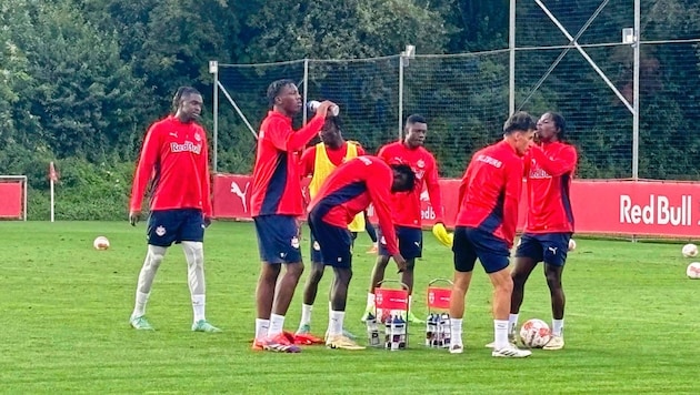 Oumar Solet (left) trained with the Bulls again late on Monday afternoon. (Bild: Sebastian Steinbichler)