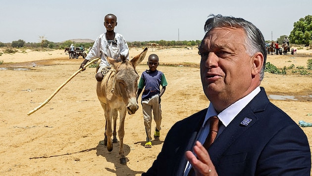 The government of Prime Minister Viktor Orbán is trying to establish a military mission in Chad in the fight against migration from Africa. (Bild: Krone KREATIV/APA/AFP/Joris Bolomey, APA/JUSTIN TALLIS)