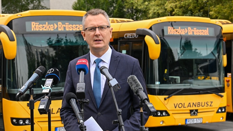 Hungary's Deputy Minister of the Interior, Bence Rétvári, presented the buses with which he wants to bring migrants to Belgium to the media. (Bild: APA/MTVA - Médiaszolgáltatás-támogató és Vagyonkezelõ Alap)