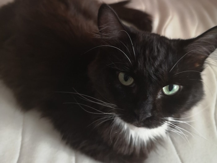 Lilly