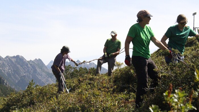 The volunteers at work.