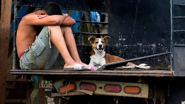 The Republicans are scaring the electorate with reports of pets being "eaten" by immigrants from Haiti. (Bild: APA/AFP/ARNULFO FRANCO)