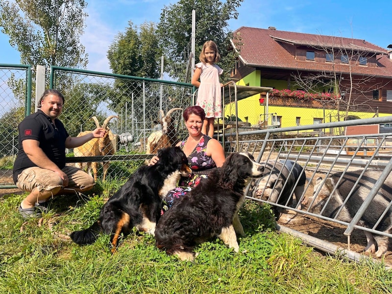 Viele Tierarten sind im Pürkerweg, Moosburg, zu finden. (Bild: Elisa Aschbacher)