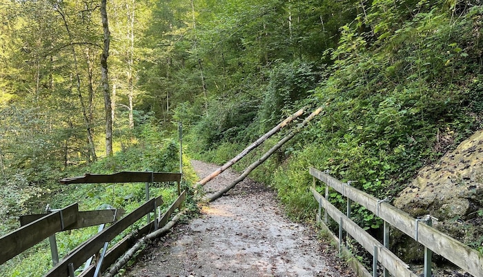 Verfallende Brücken und abgestürzte Bäume prägten die vergangenen zwei Jahre das Bild. An einer Lösung werde weiter gearbeitet, sagt der Bürgermeister.