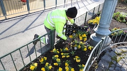 In Vorarlberg arbeiten Asylwerber etwa bei gemeinnützigen Projekten wie Gartenarbeiten mit. (Bild: Jauschowetz Christian)