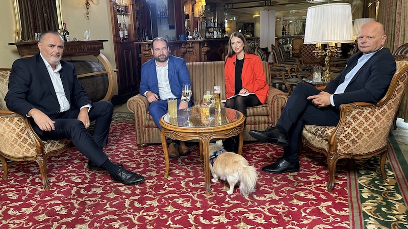 Hans Peter Doskozil, Christoph Haselmayer, Tanja Pfaffeneder, Stefan Kaltenbrunner (from left to right) (Bild: krone.tv)