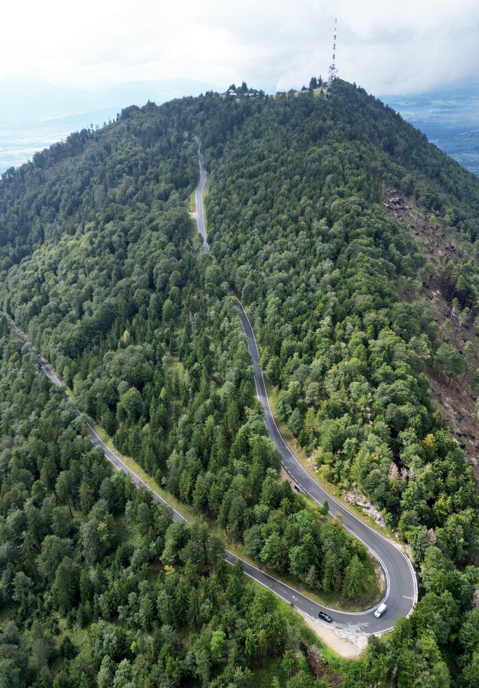 Die Gaisberg Landesstraße führt hinauf zum Gipfel.
