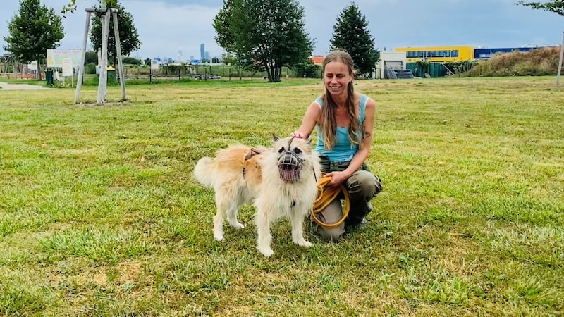 Dog trainer Ursula Aigner works according to animal welfare criteria. This enabled her protégé "Struppi" to regain trust in people. (Bild: privat)