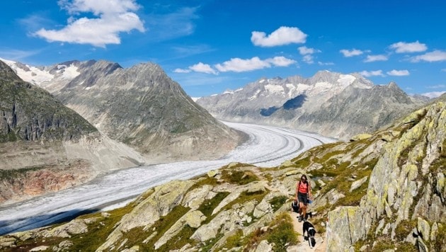 Auch mit dem vierbeinigen Begleiter gut wanderbar. (Bild: Zwickl)