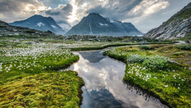 In einer Senke zwischen dem Eggis-und dem Strahlhorn liegt der Märjelensee. (Bild: Schweiz Tourismus)