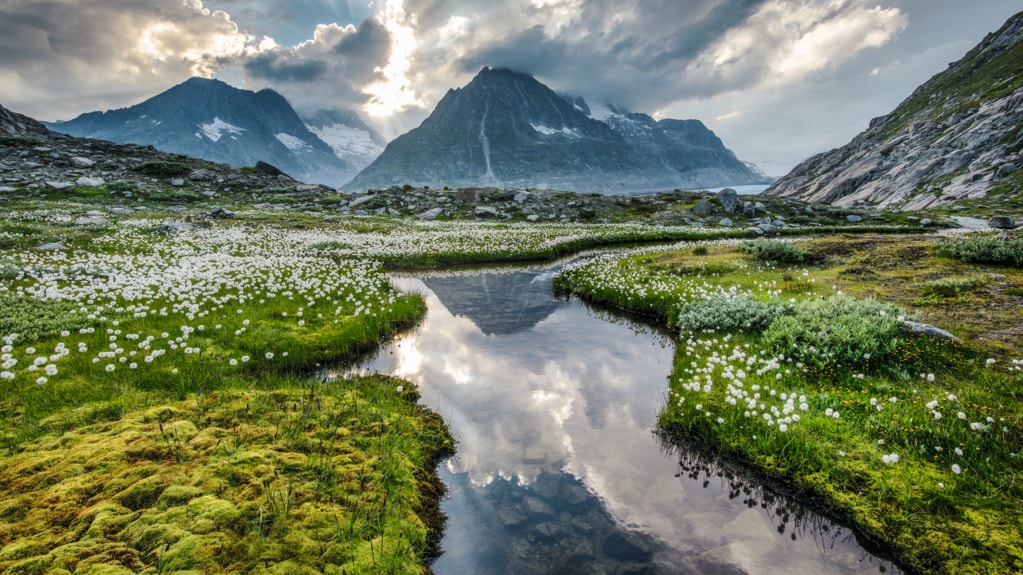 In einer Senke zwischen dem Eggis-und dem Strahlhorn liegt der Märjelensee. (Bild: Schweiz Tourismus)