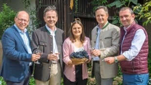 An der ersten Station bei Hannah Wetschka in Jois. Auch hier wurde die Weinlese gestern ...