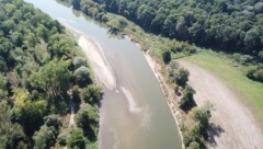 Diese Stelle der March zeigt deutlich, wie auf der „renaturierten“ Uferabschnitt die Natur sich ihr Terrain zurückerobert. (Bild: Walther Gastinger / WWF Österreich)