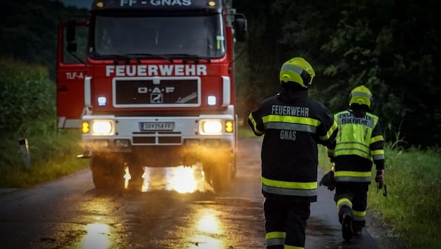 Die Einsatzkräfte waren rasch vor Ort, dennoch kam für den Jugendlichen jede Hilfe zu spät. (Bild: FF Gnas)