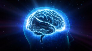 Viele neurologische Erkrankungen wie Demenz oder Epilepsie sind vermeidbar. (Bild: bluebackimage/stock.adobe.com)