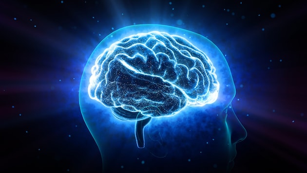 Viele neurologische Erkrankungen wie Demenz oder Epilepsie sind vermeidbar. (Bild: bluebackimage/stock.adobe.com)