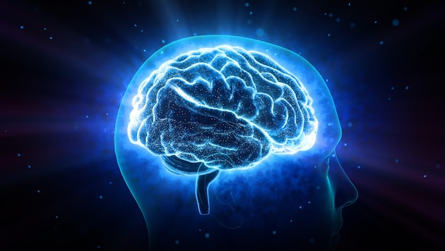 Many neurological diseases such as dementia or epilepsy are preventable. (Bild: stock.adobe.com/bluebackimage)