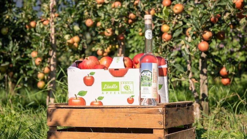 Anyone who buys apples produced in Vorarlberg is not only doing something good for their health, but is also protecting the climate. And the apples taste good too! (Bild: Matthias Weissengruber)