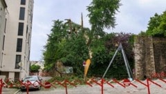 Beim Sturm Anfang Juli stürzten Teile eines Baumes am Linzer Tummelplatz auf eine Mutter und ihre Tochter. (Bild: Matthias Lauber/laumat.at)