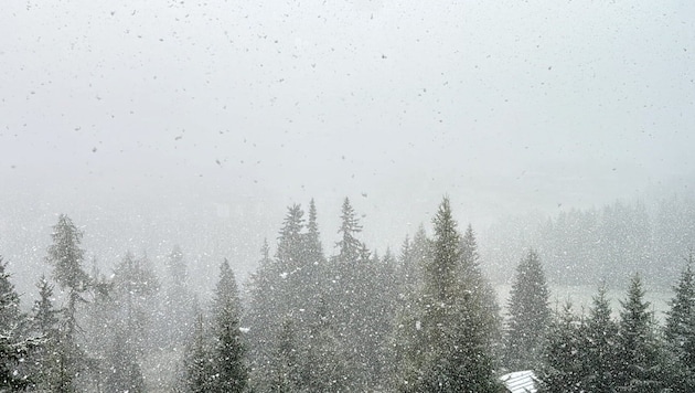 It is snowing on Katschberg. (Bild: Roland Holitzky)