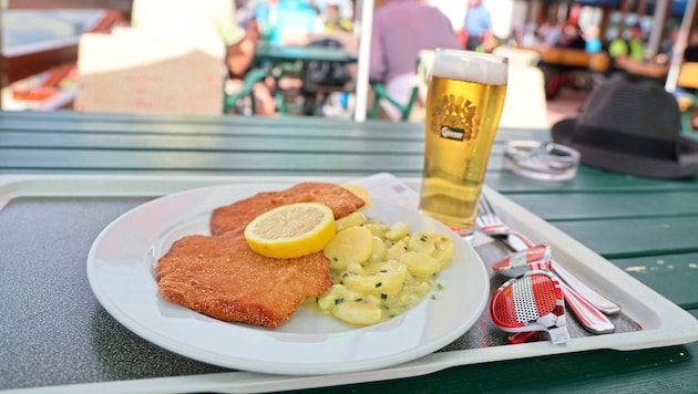 Da läuft einem das Wasser im Mund zusammen! Ein Wiener Schnitzel vom Schwein mit Kartoffelsalat und dazu ein kühles Bier trifft den Geschmack zahlreicher Österreicher. (Bild: Birbaumer Christof)