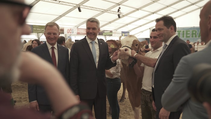 Tierschützer beklagen, dass die Politik dringende Antworten schuldig bleibt. 