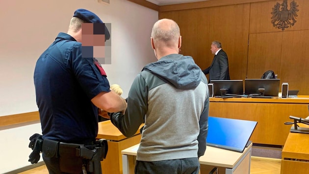 Money back for a Hungarian serial criminal - made possible by a curious case law. (Bild: Wassermann Kerstin/Krone KREATIV)