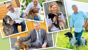 Mit Hunden posiert jeder Politiker gerne! Doch wie viel Tierschutz betreiben die Parteien wirklich? (Bild: Krone KREATIV/NEOS, SPÖ, Bernhard Schindler, ÖVP, FPÖ)