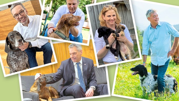 Every politician likes to pose with dogs! But how much animal welfare do the parties really do? (Bild: Krone KREATIV/NEOS, SPÖ, Bernhard Schindler, ÖVP, FPÖ)