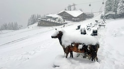 Auf der Planai hinterließ der Wetterumschwung bereits seine Spuren. (Bild: Planai/Walcher)