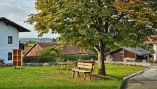 Ein Beispiel für Entsiegelung: In der Gemeinde Pattigham wurde ein ehemaliger Parkplatz zu einer begrünten Fläche. (Bild: Land OÖ)