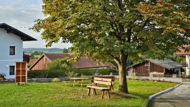 Ein Beispiel für Entsiegelung: In der Gemeinde Pattigham wurde ein ehemaliger Parkplatz zu einer begrünten Fläche. (Bild: Land OÖ)