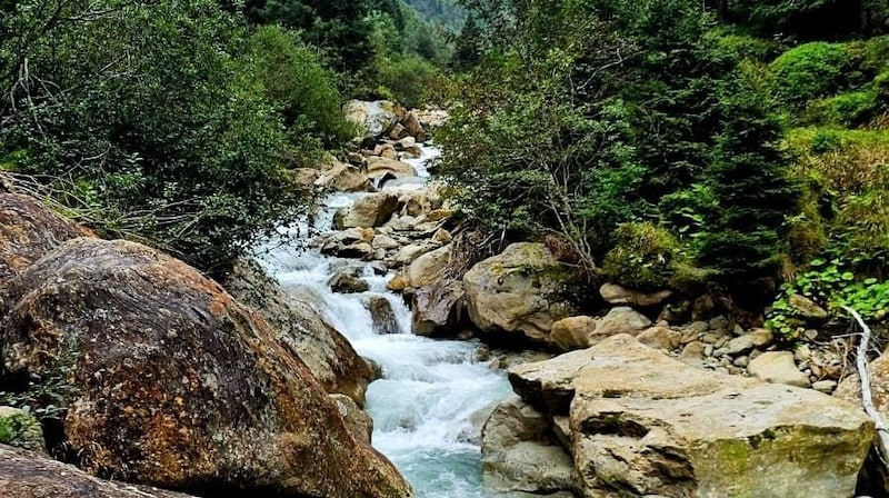 The route runs alongside the Talbach stream for some time. (Bild: Peter Freiberger)