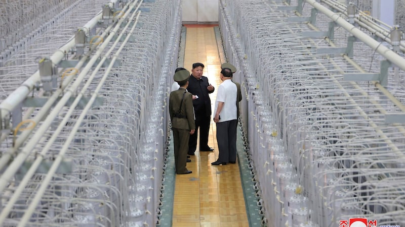 The North Korean regime released several photographs showing the dictator at the facility. (Bild: APA/AP)