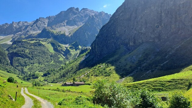 The Metzgertobel: a place made for a tourist brochure. (Bild: Bergauer Rubina/Bergauer)