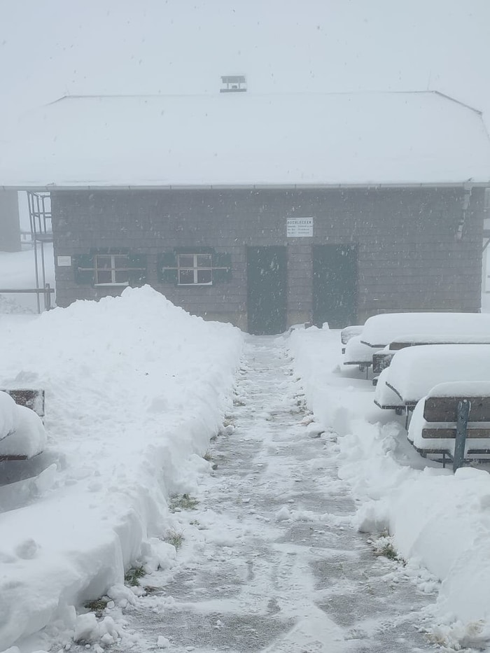 The access to the Hochleckenhaus has been cleared