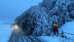 Wintereinbruch: In Tamsweg stürzte ein Baum um, die Freiwillige Feuerwehr rückte aus.  (Bild: FF Tamsweg)